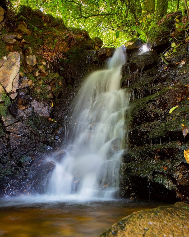숙박 시설 구내