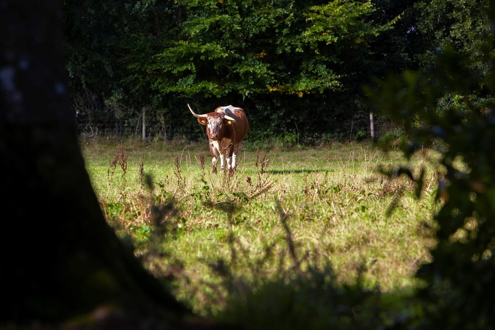 숙박 시설 구내