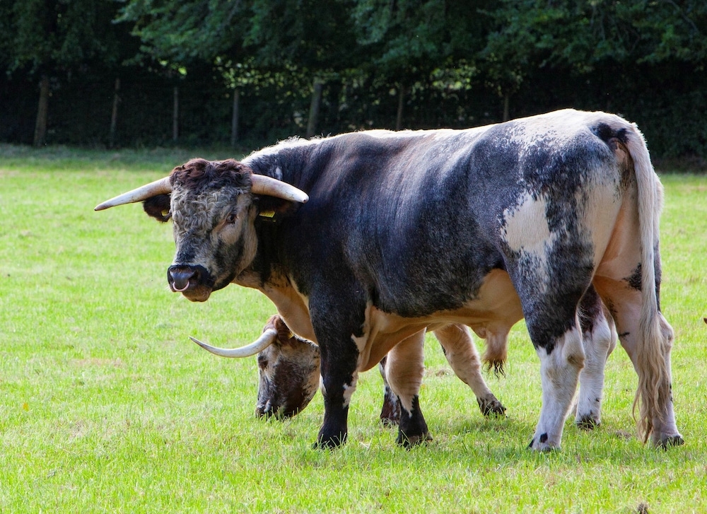 숙박 시설 구내