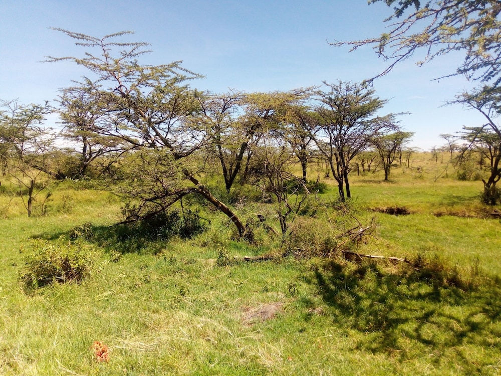 숙박 시설 구내