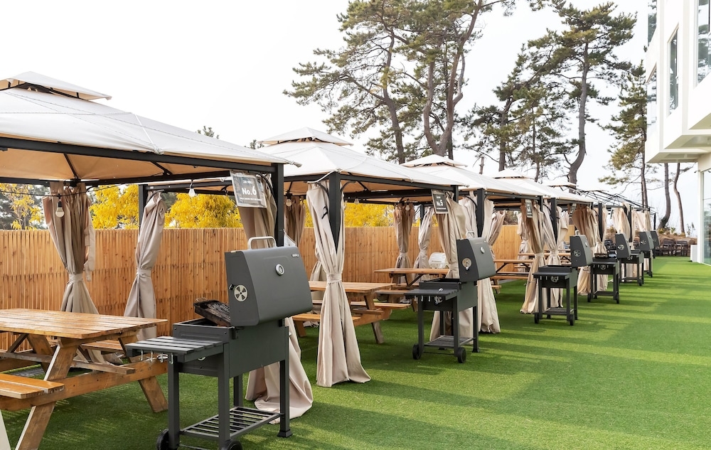 BBQ/피크닉 공간