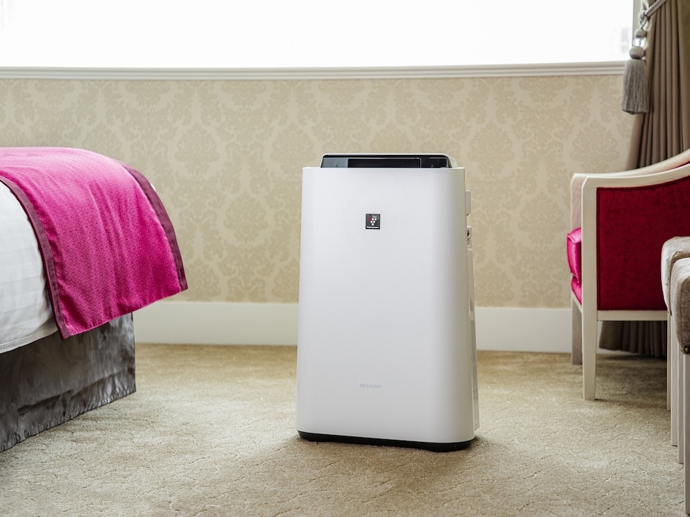 객실 내 편의 시설/서비스