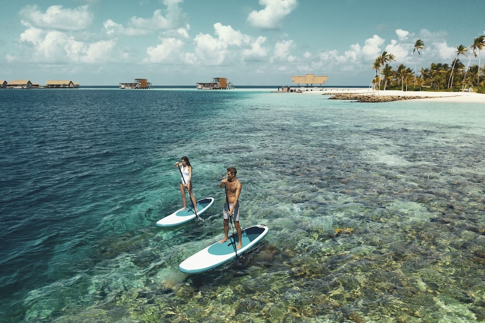 서핑/부기 보드