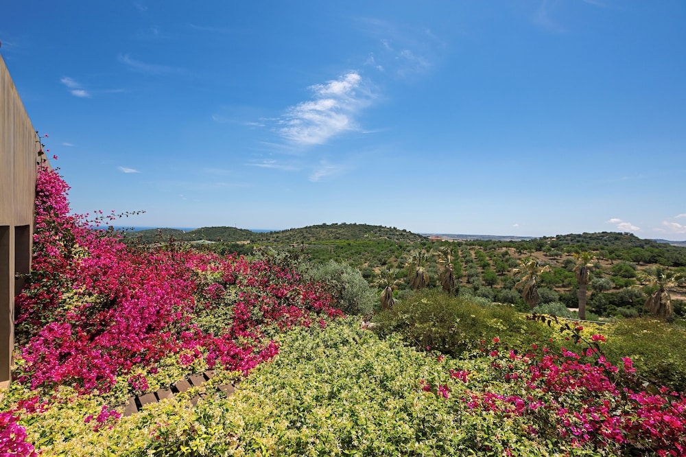 객실에서 보이는 전망