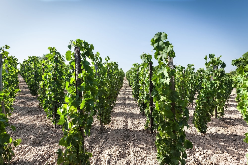 숙박 시설 구내