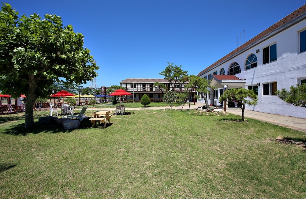 BBQ/피크닉 공간