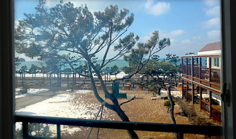 해변/바다 전망