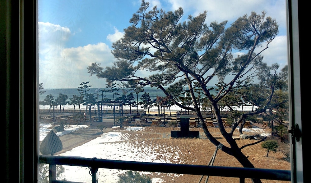 해변/바다 전망