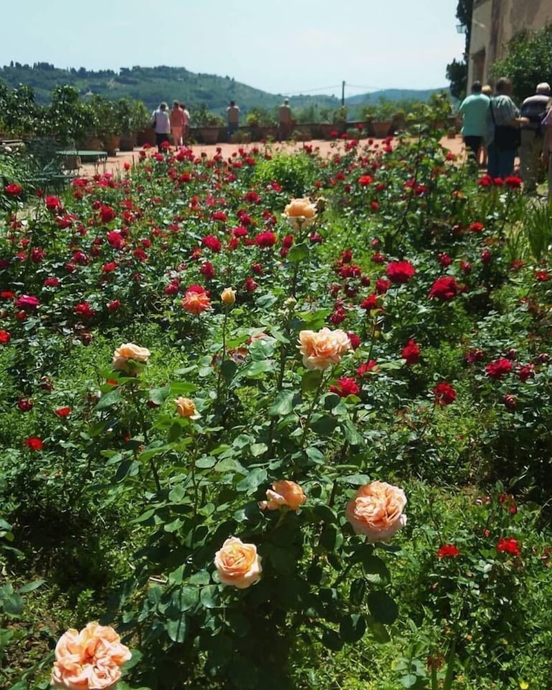 외부 세부 사진