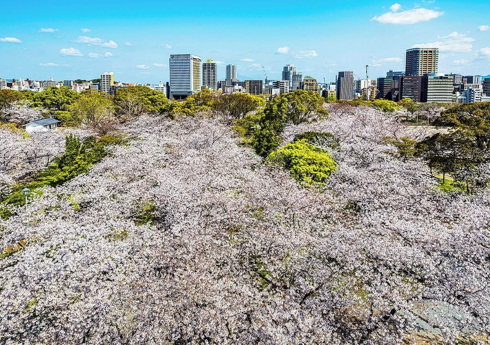 숙박 시설에서 보는 시내 전망