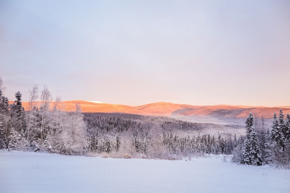 숙박 시설에서 보는 주변 전망