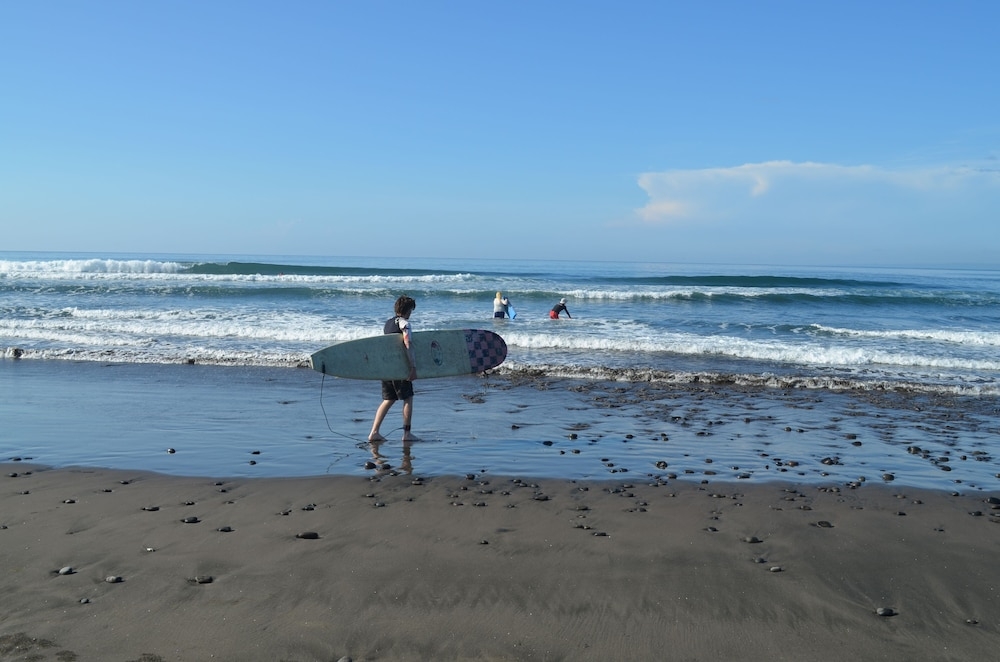 서핑/부기 보드