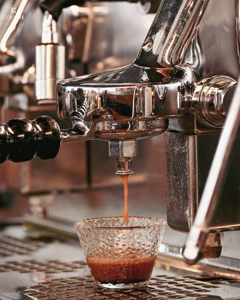 바(숙박 시설 내)