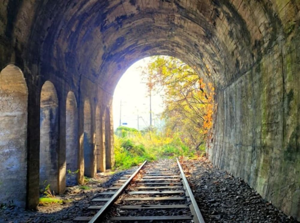 어린이 즐길거리