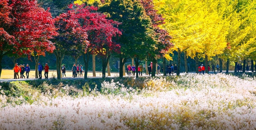 어린이 즐길거리