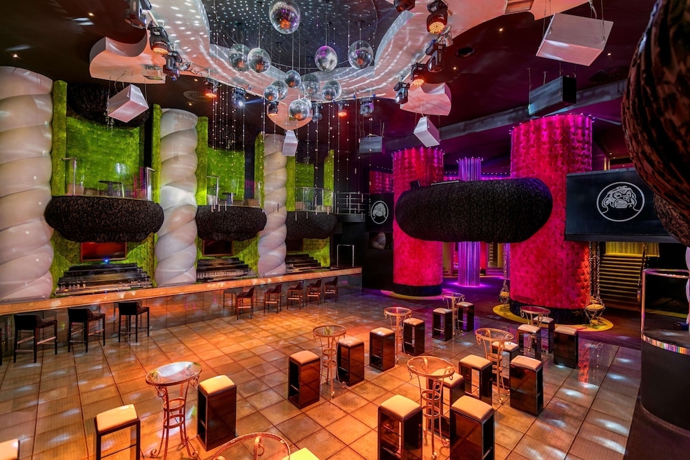 바(숙박 시설 내)