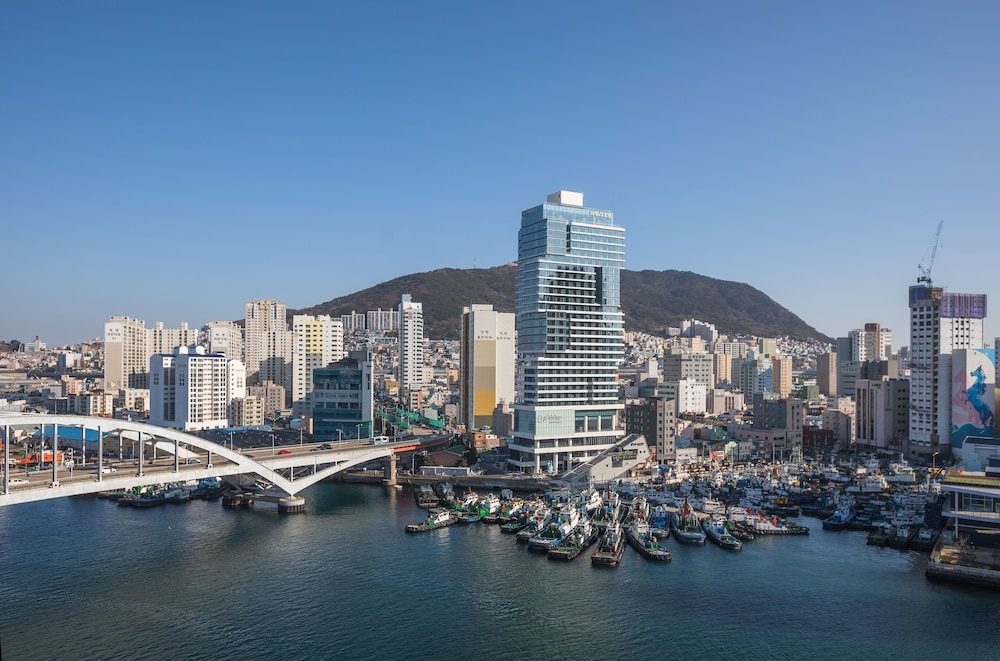 외부 세부 사진