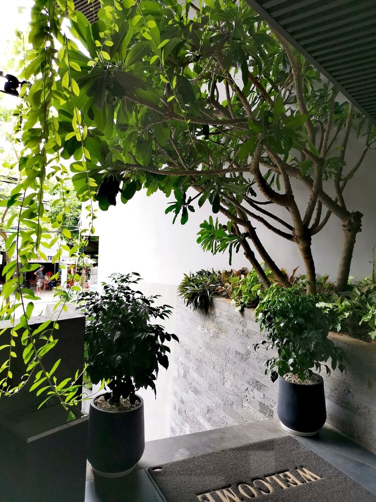 외부 세부 사진