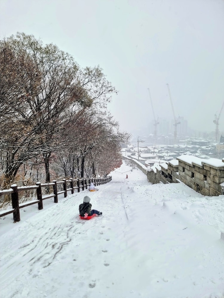 썰매 타기
