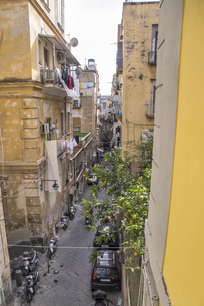 객실에서 보이는 전망