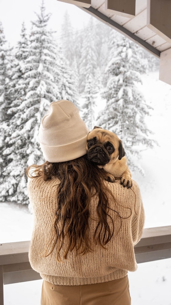 반려동물 동반 가능