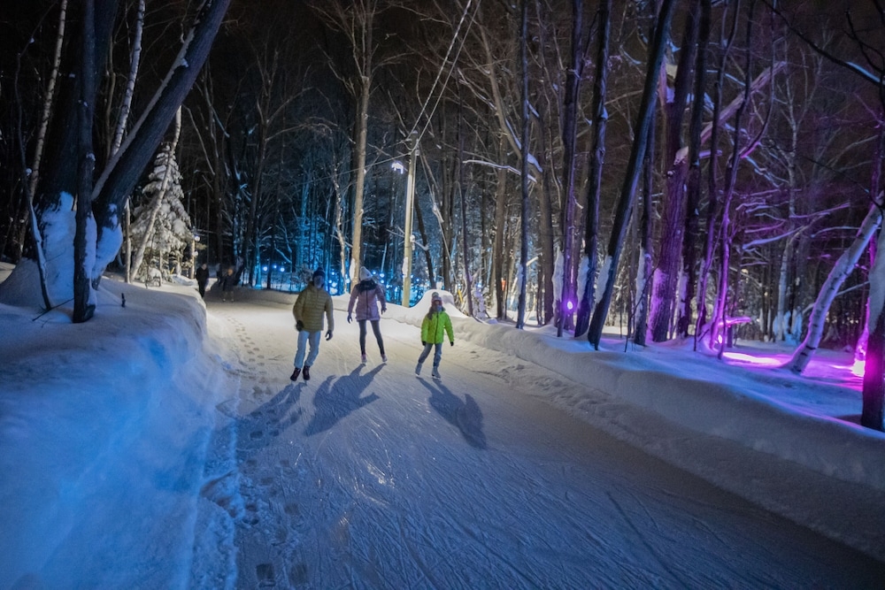 아이스 스케이팅