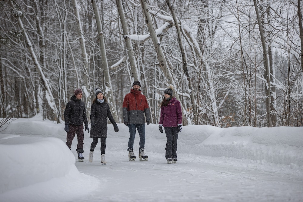 아이스 스케이팅