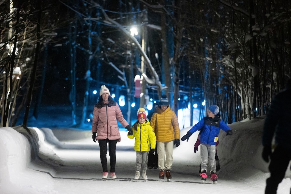 아이스 스케이팅