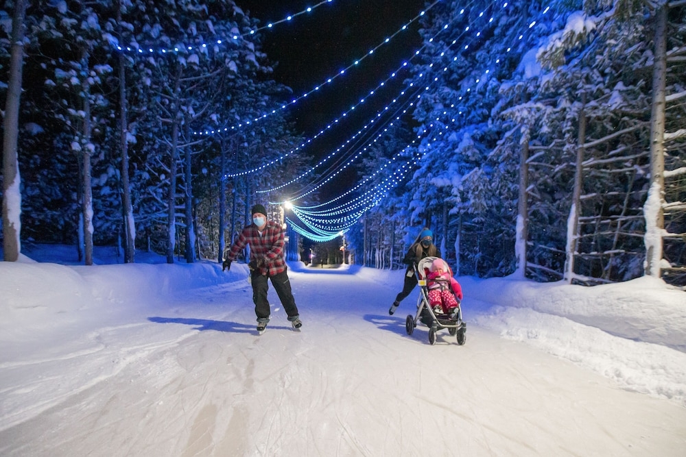 아이스 스케이팅