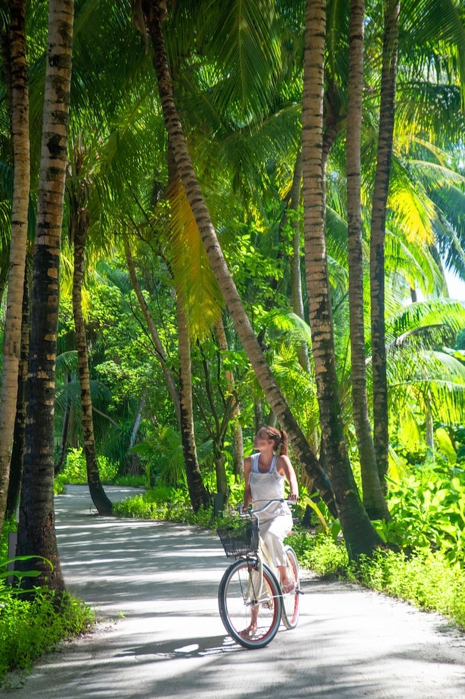 숙박 시설 내 편의 시설/서비스