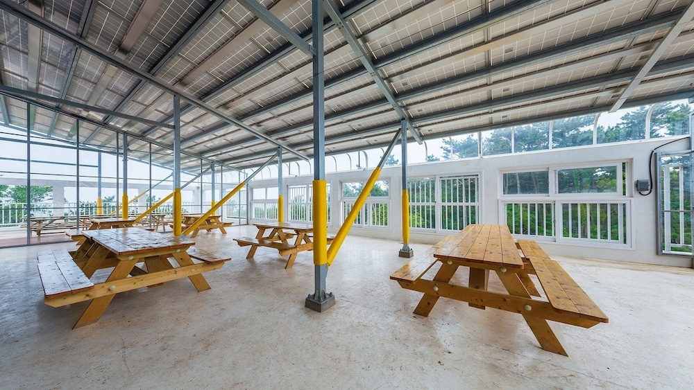 BBQ/피크닉 공간