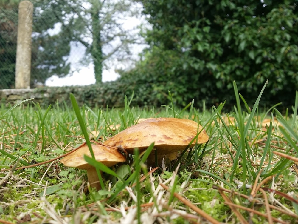 외부 세부 사진