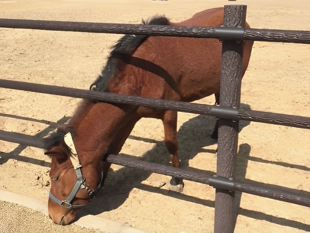 숙박 시설 구내