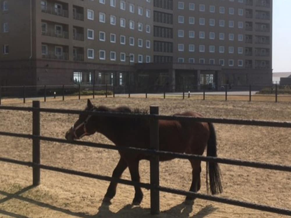숙박 시설 구내