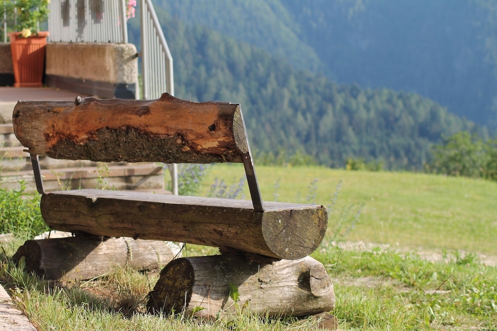 BBQ/피크닉 공간