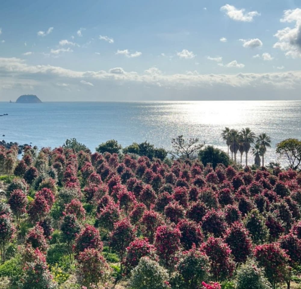 숙박 시설에서 보는 주변 전망