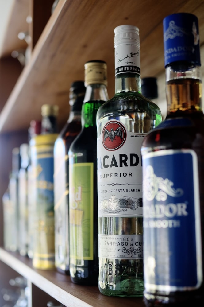 바(숙박 시설 내)