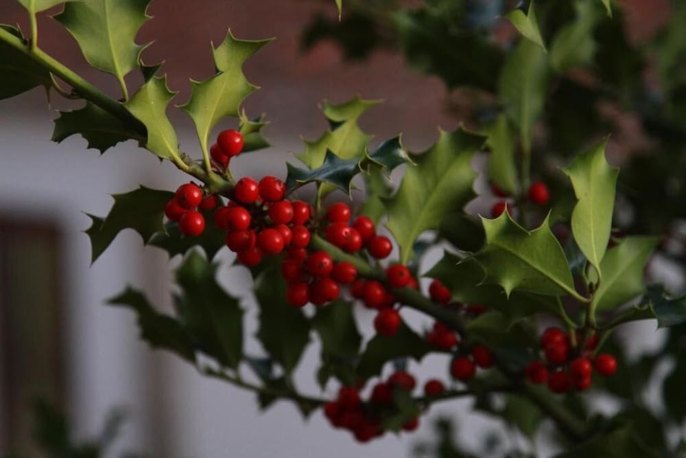 숙박 시설 구내