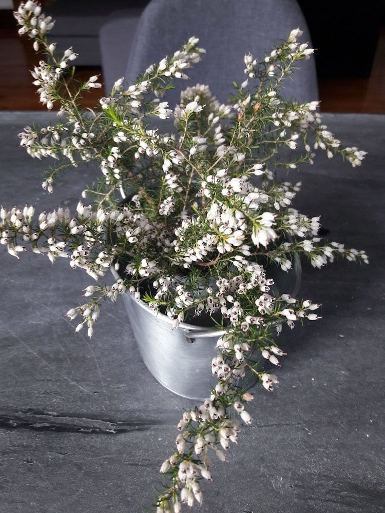 내부 세부 사진