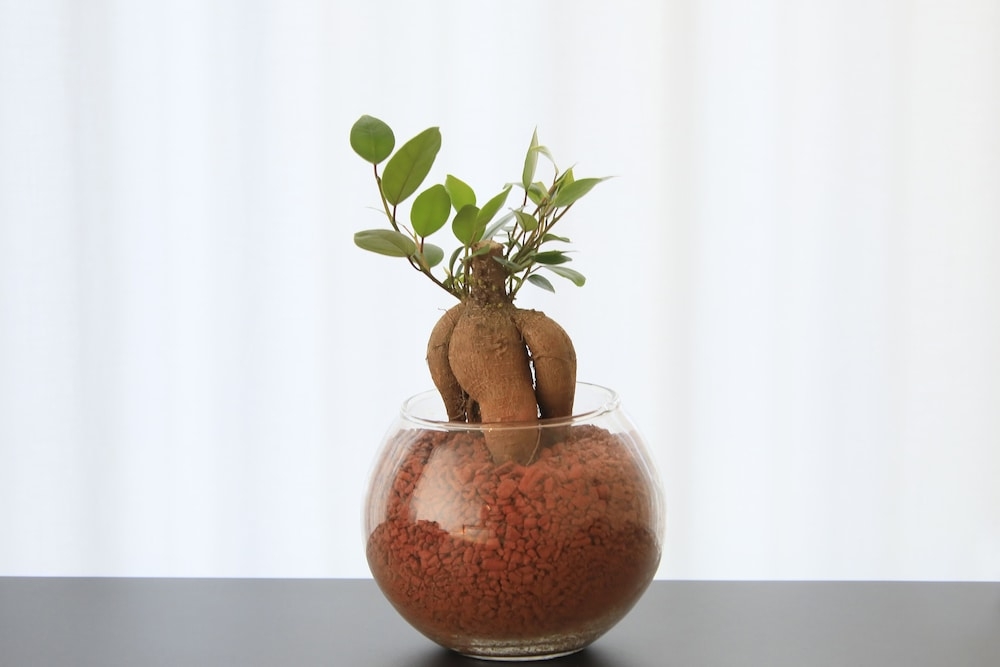 객실 내 편의 시설/서비스