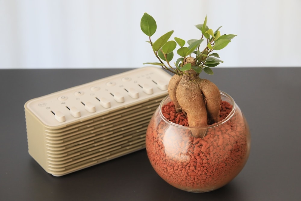 객실 내 편의 시설/서비스