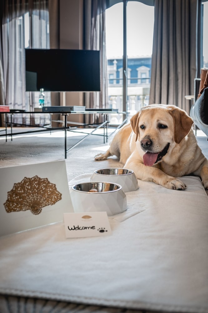 반려동물 동반 가능