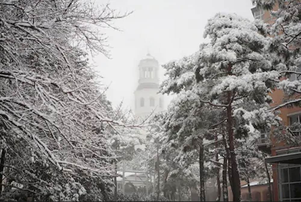 외부 세부 사진