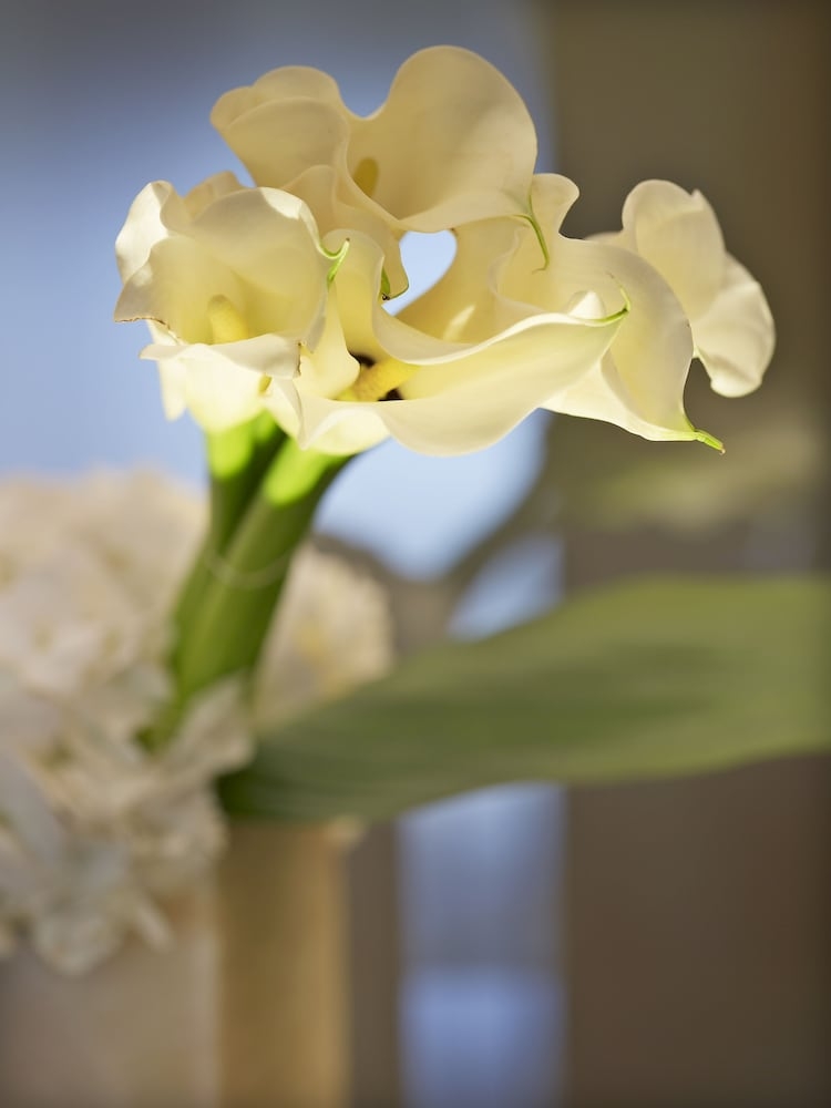 내부 세부 사진