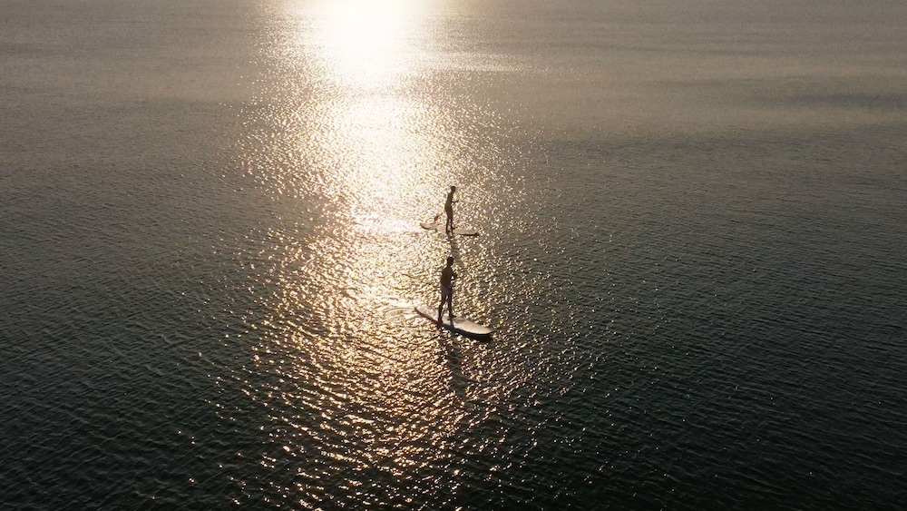 서핑/부기 보드