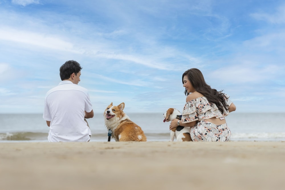 객실에서 보이는 전망