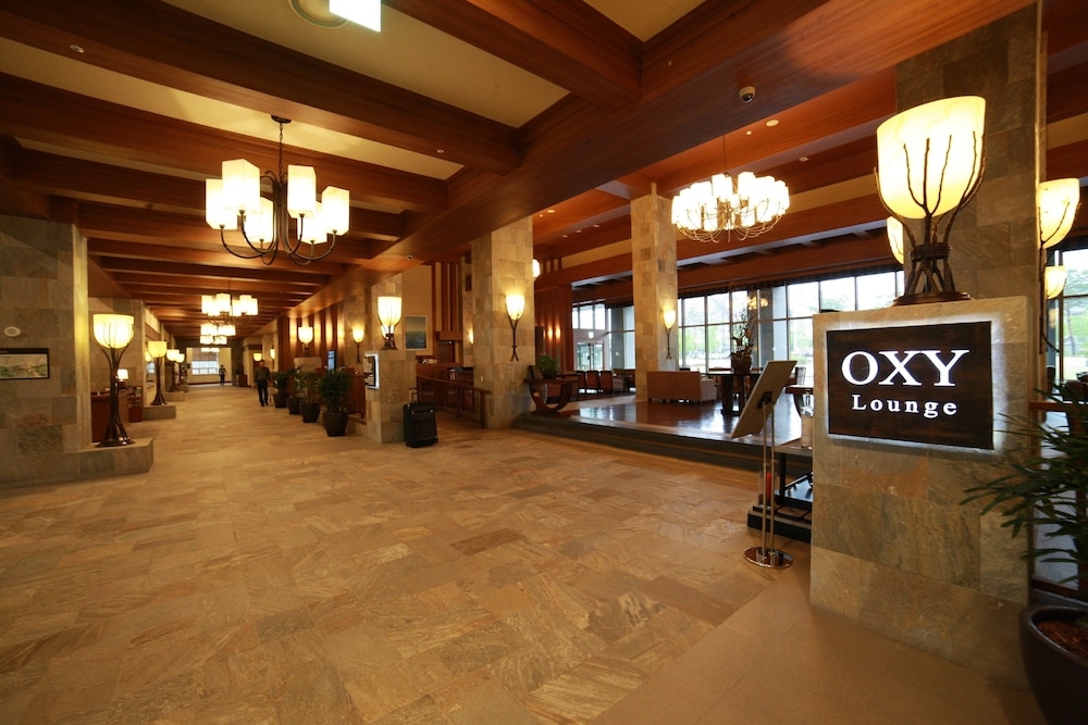 바(숙박 시설 내)