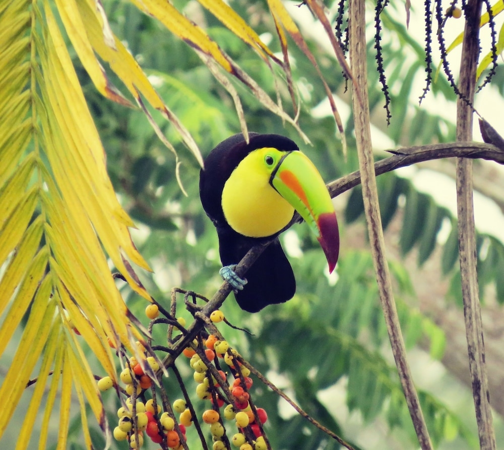 숙박 시설 구내
