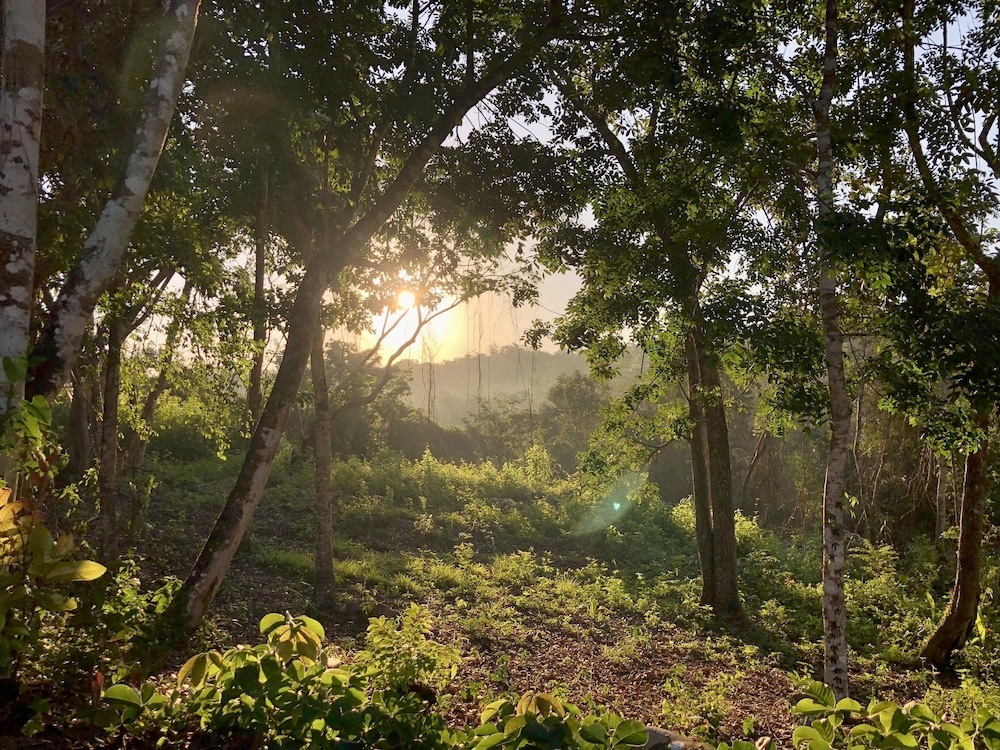 숙박 시설 구내