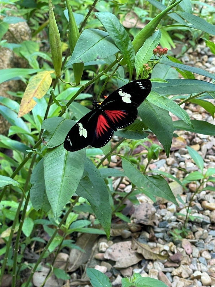 숙박 시설 구내